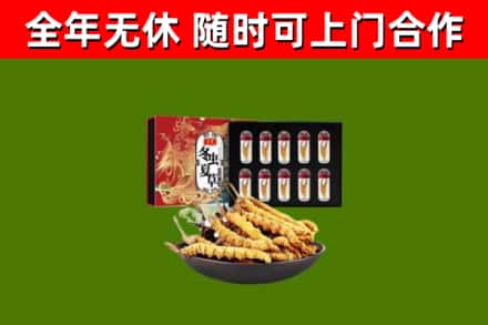 五寨县回收冬虫夏草价格